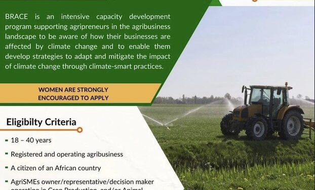 Call For Applications: BRACE Capacity Development Program For African SMEs in Agribusiness