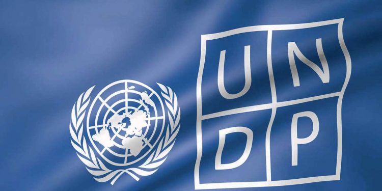 undp 750x375 1