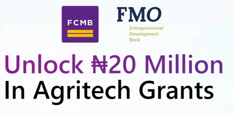 FCMB FMO AgriTech Investment Readiness Program 750x375 1