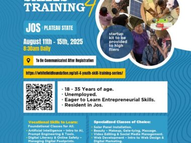 Call for Applications: Free Vocational Training by Alliance for Nigerian Youths 2025