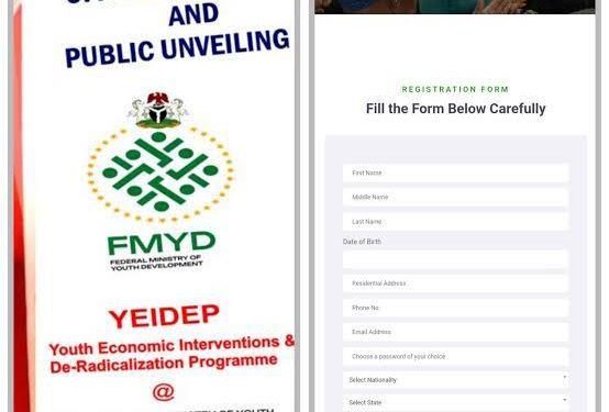 Call For Applications: Federal Government YIEDEP Grant 2025 (₦500,000 Grant for Nigerian Youths)