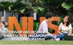 2026 Internship and Research Immersion in Singapore@NUS