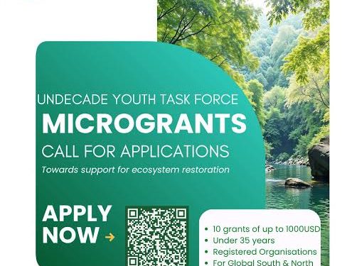 Call For Applications: UN Decade Youth Task Force Microgrants 2026 (Up to US$1,000 for Youth-Led Restoration Projects)