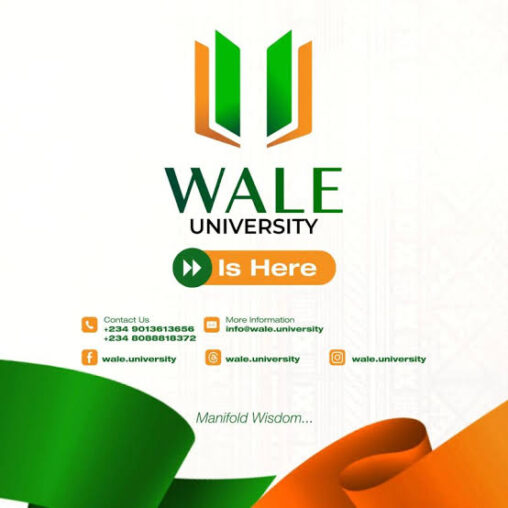 Remote Graphic Design Intern at Wale University