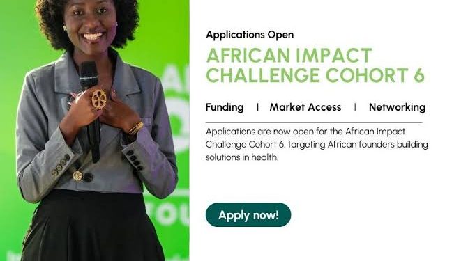 Call for Applications: African Impact Challenge — Building Global Businesses “From Africa to the World” (Funding, Market Access and Networking)