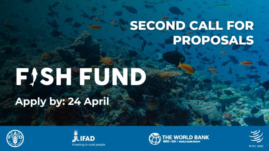 Call for Proposals: WTO Fisheries Funding Mechanism (Fish Fund) – Second Call 2026
