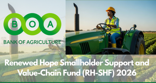 Call for Applications: Renewed Hope Smallholder Support and Value-Chain Fund 2026 (Funding Opportunity for Smallholder Farmers & Agribusinesses)