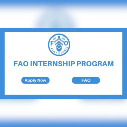 FAO Internship Program For Students Worldwide (Food and Agriculture Organization)