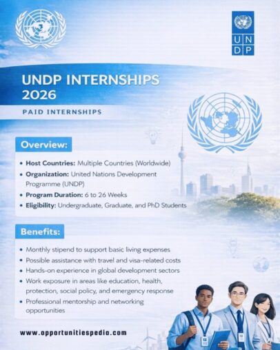 United Nations Development Programme Global Internship 2026