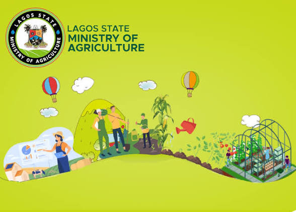 Lagos Agripreneurship Programme (LAP) 2026 (N20,000 Monthly Stipends)