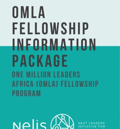 Call For Applications: One Million Leaders Africa (OMLA) Fellowship Program 2026 for African Changemakers